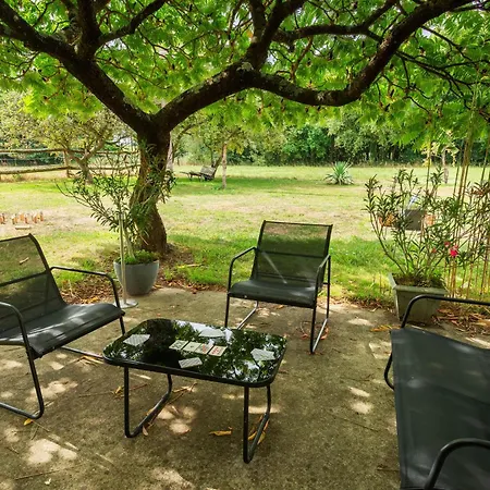 Casa vacanze Le Chene Des Loges - Campagne - Familial *